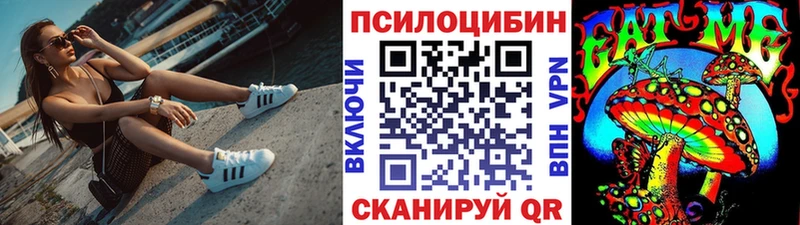 купить наркоту  Таруса  Галлюциногенные грибы GOLDEN TEACHER 